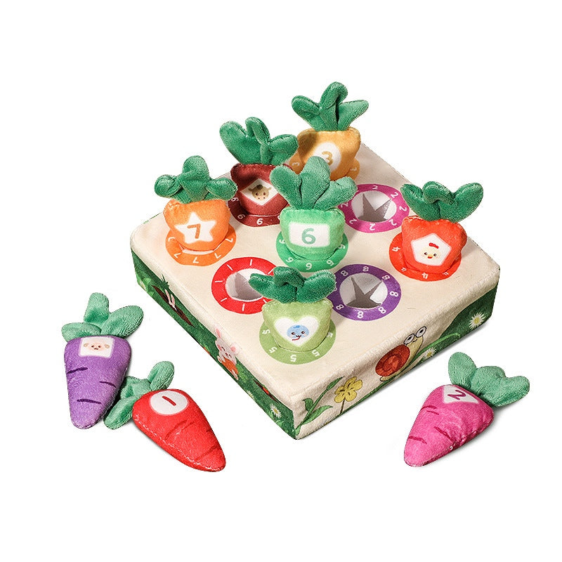 Pluck Carrots Sensory Toys