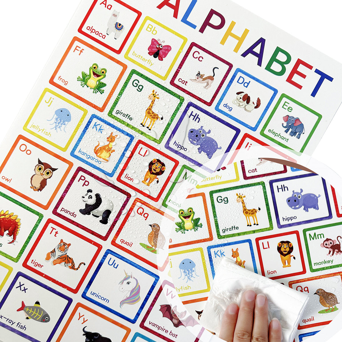 12pc Posters Classroom