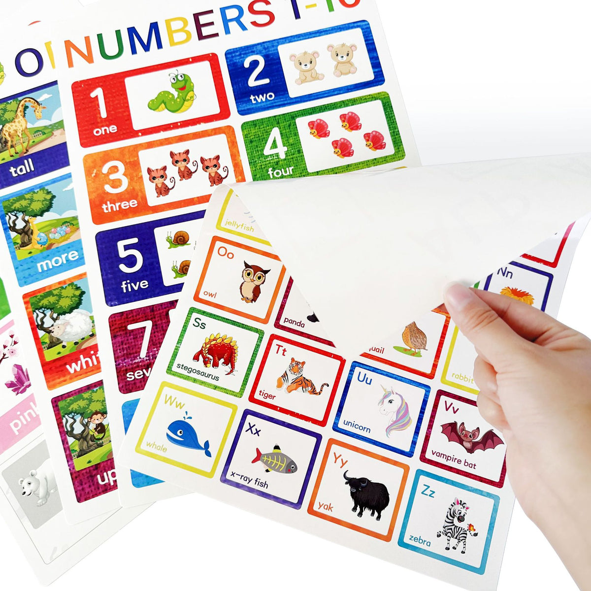 12pc Posters Classroom