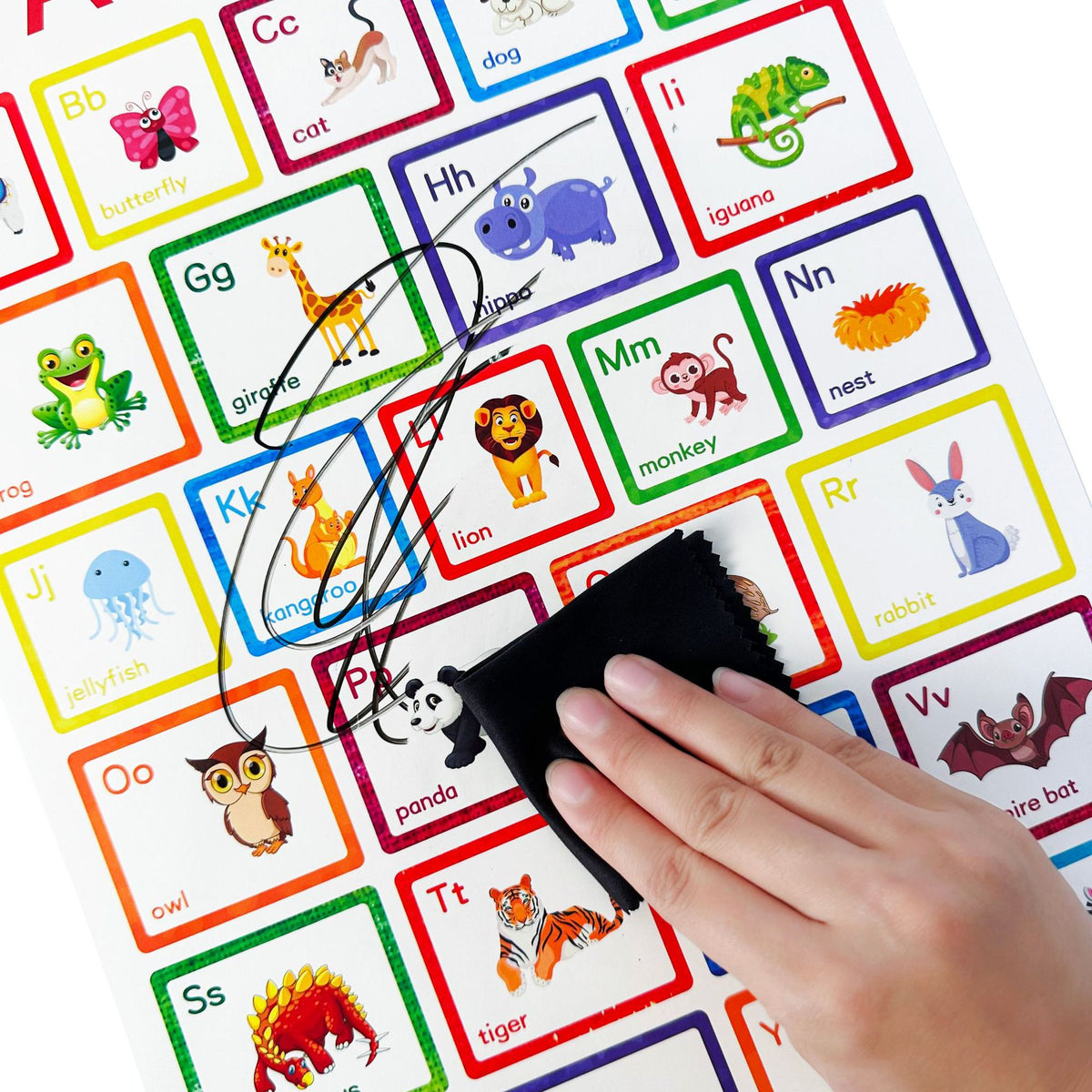 12pc Posters Classroom