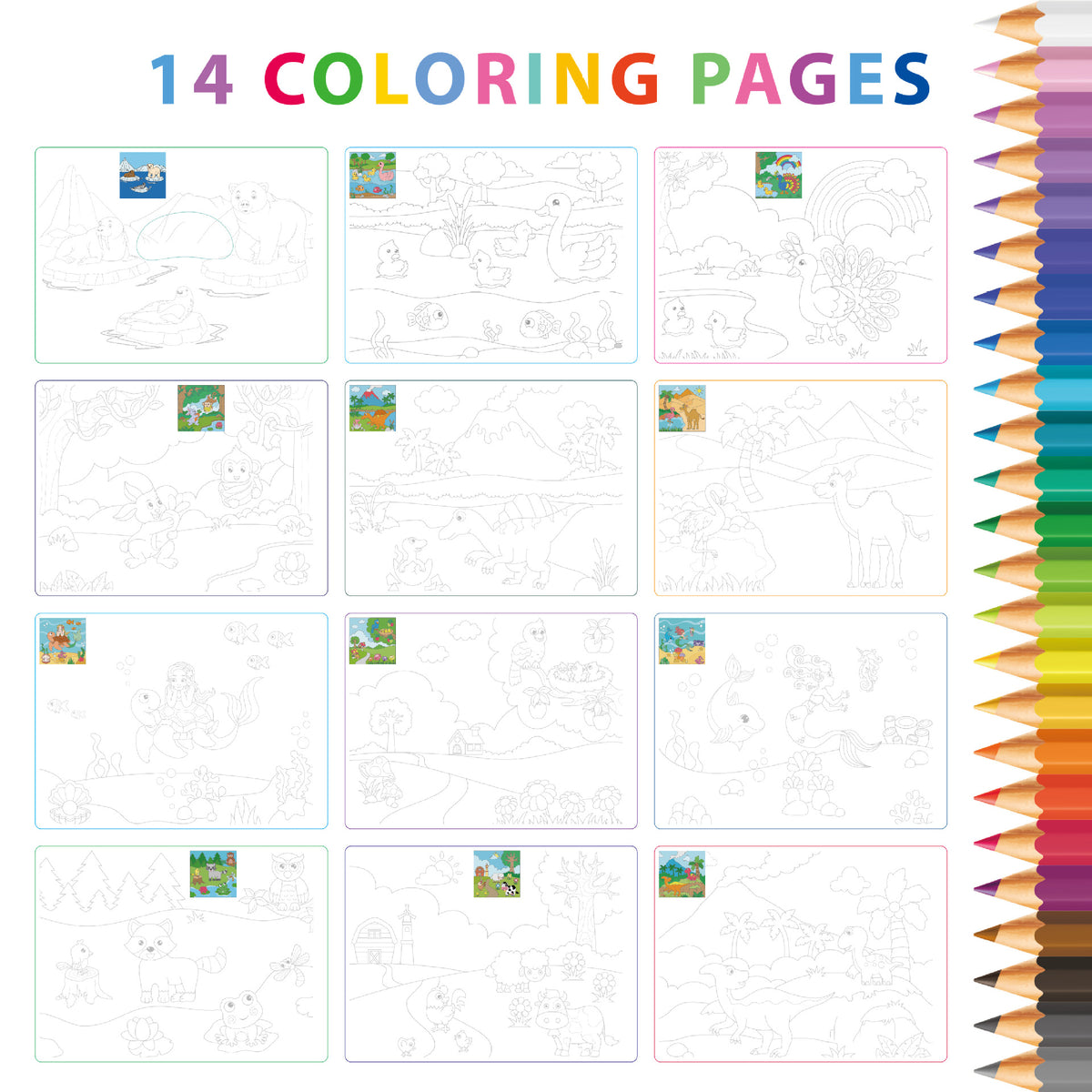 Activity Book