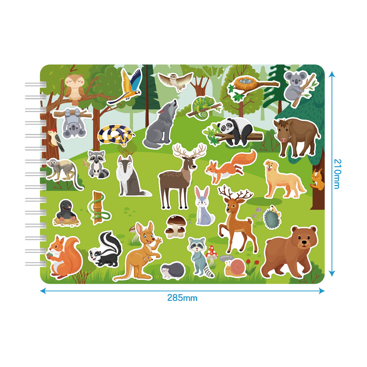 Activity Book