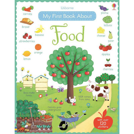 Usborne My First Book About Food