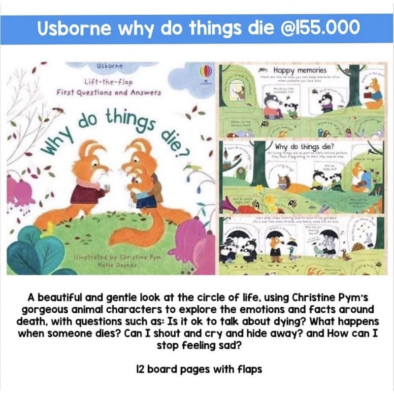 Usborne Lift the Flap