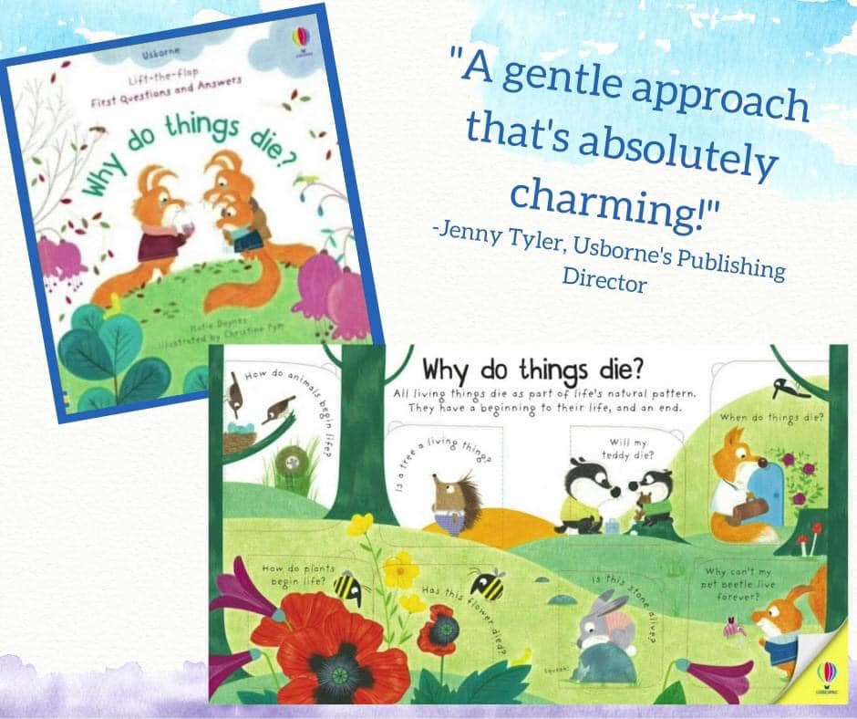 Usborne Lift the Flap