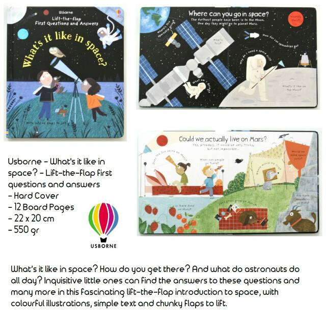 Usborne Lift the Flap