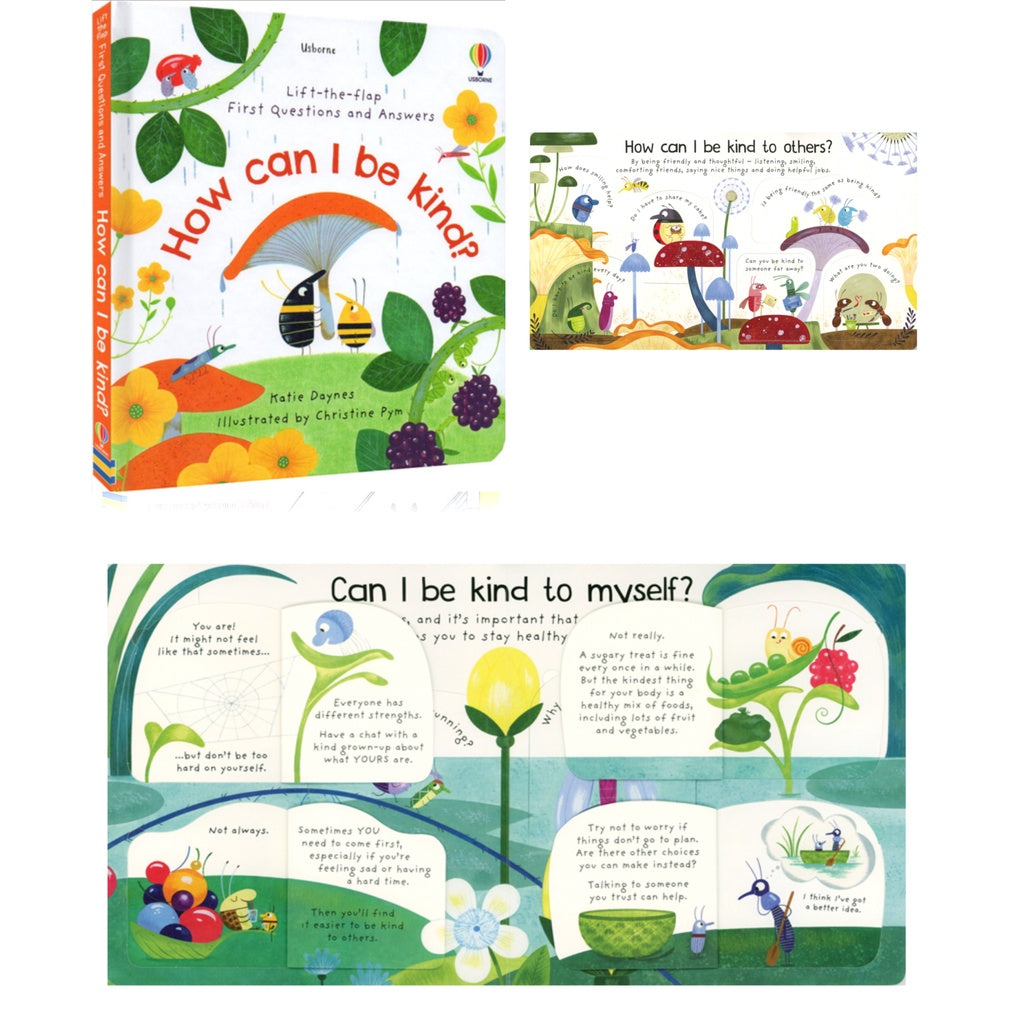 Usborne Lift the Flap