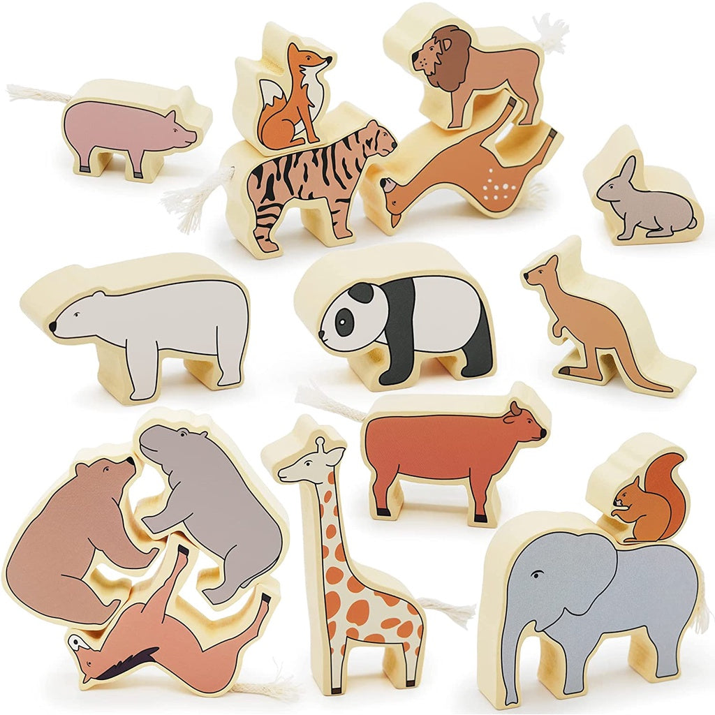Interesting Zoo