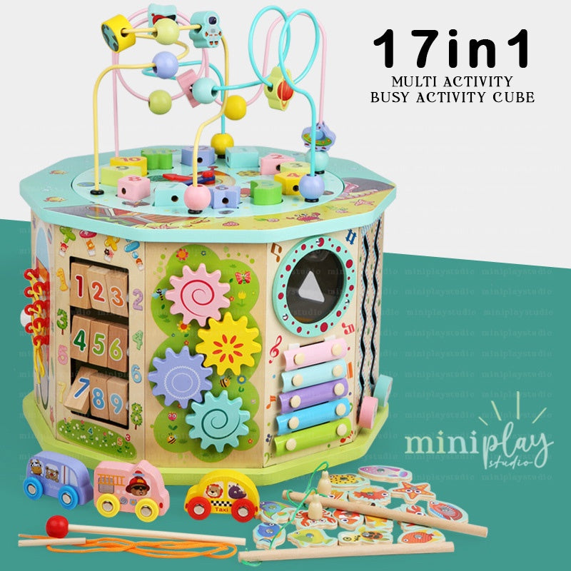 17in1 Baby Activity Cube