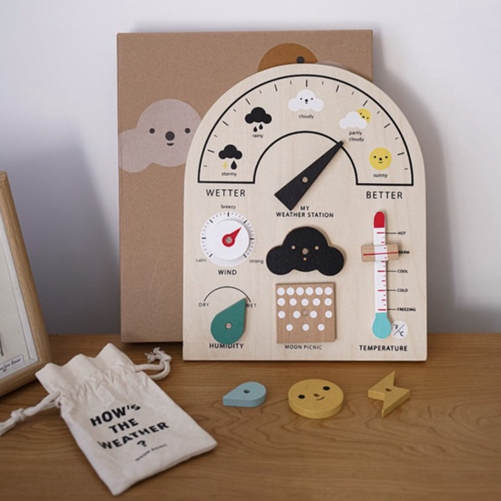 Weather Station