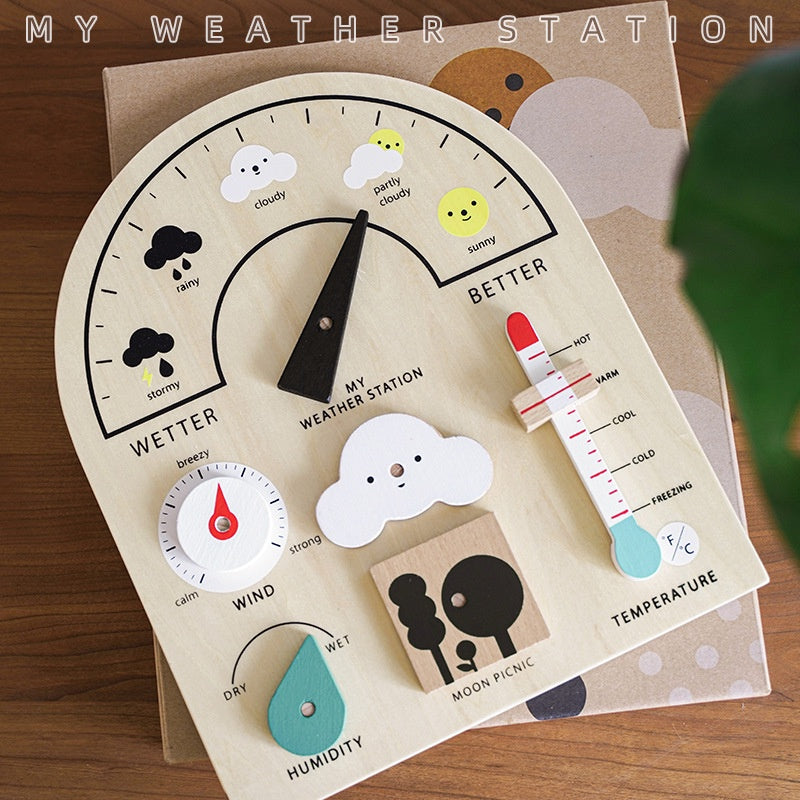 Weather Station