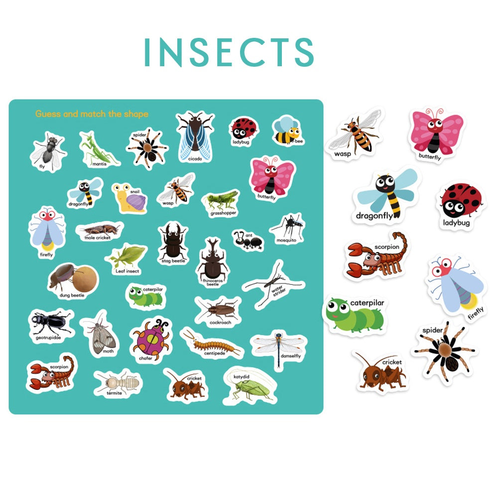 Sticker Book Insects