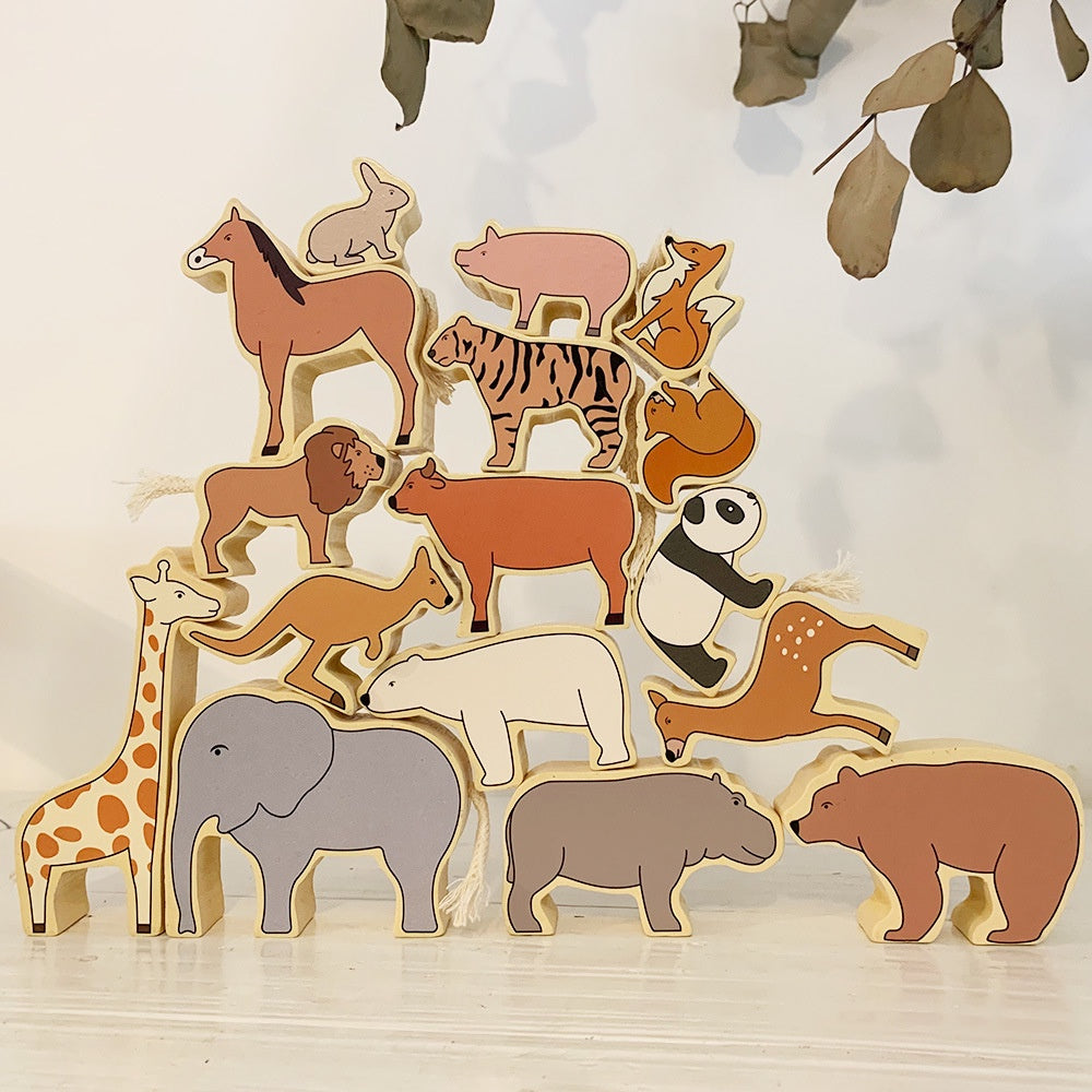 Interesting Zoo