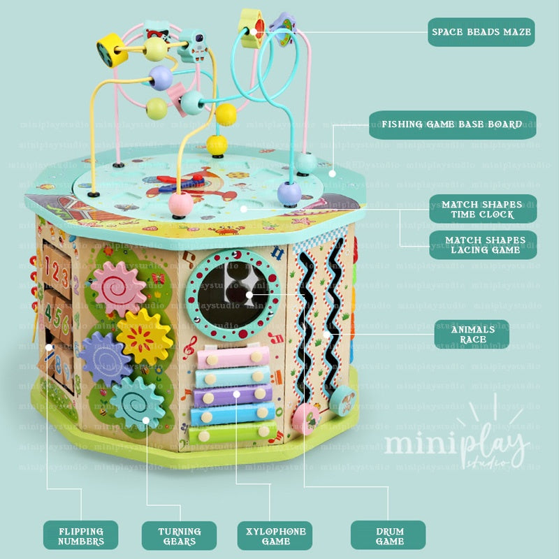17in1 Baby Activity Cube