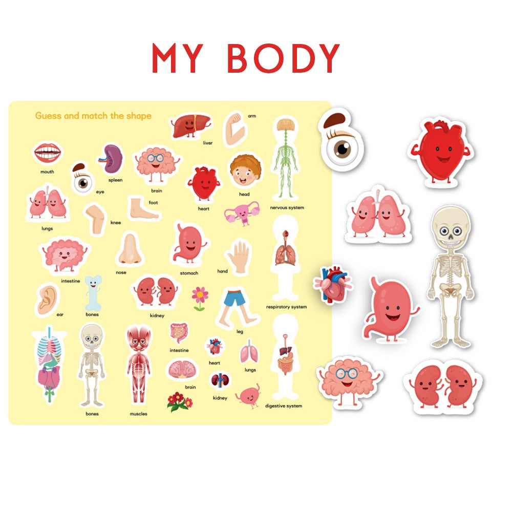 Sticker Book Animals