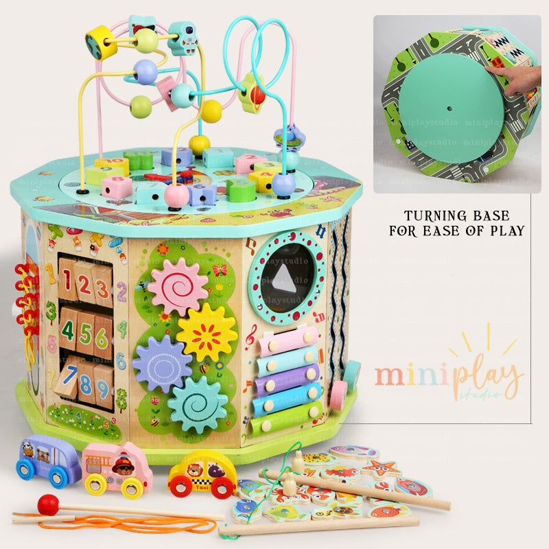 17in1 Baby Activity Cube