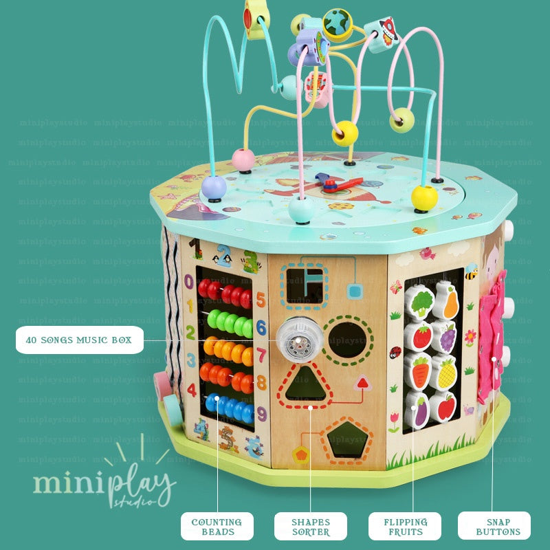17in1 Baby Activity Cube