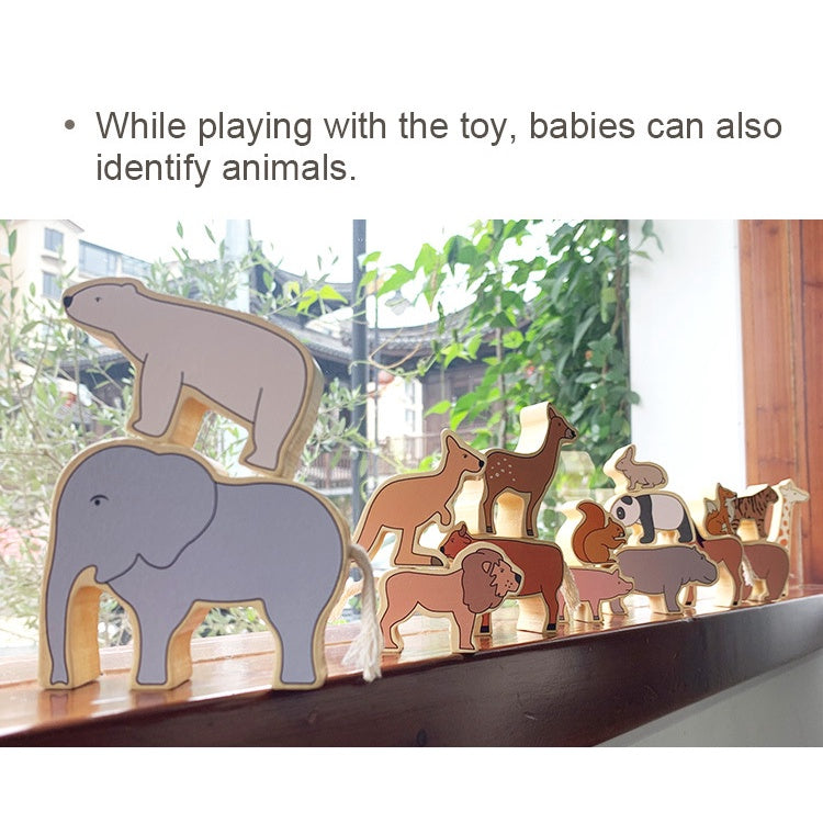 Interesting Zoo