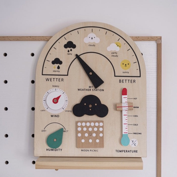 Weather Station