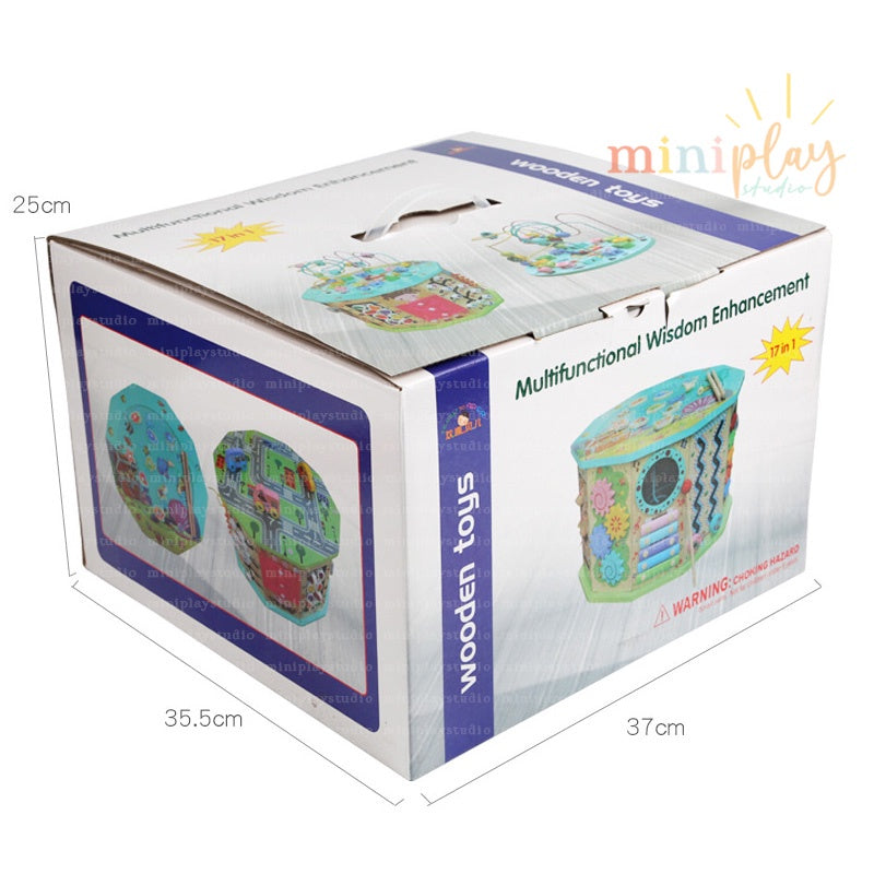 17in1 Baby Activity Cube