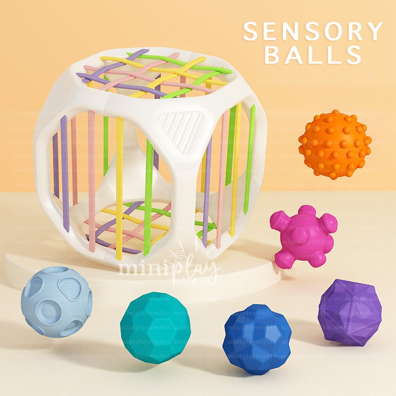 6pc Animals Sensory Cube