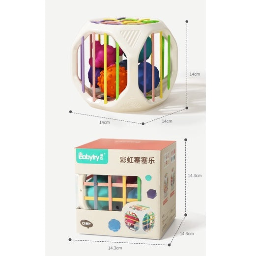 6pc Animals Sensory Cube