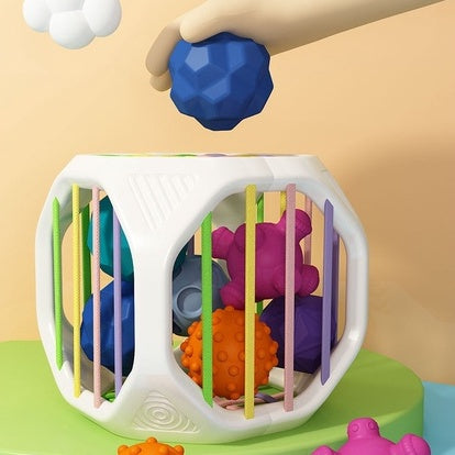 6pc Animals Sensory Cube