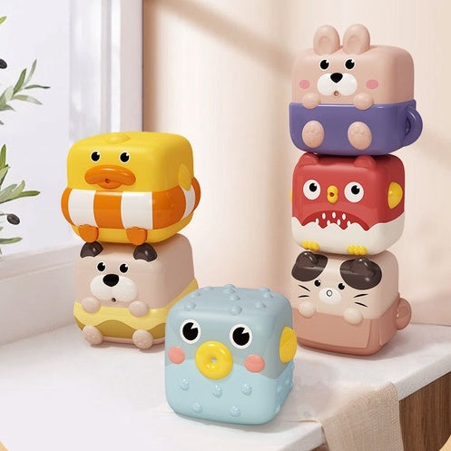 6pc Animals Sensory Cube