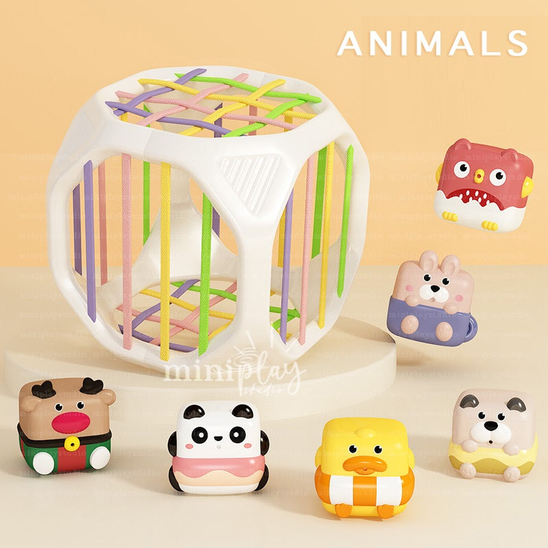 6pc Animals Sensory Cube