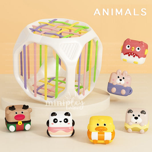 6pc Animals Sensory Cube