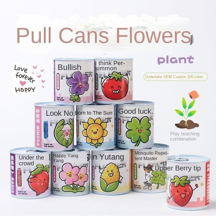 DIY Potted Plant Kit