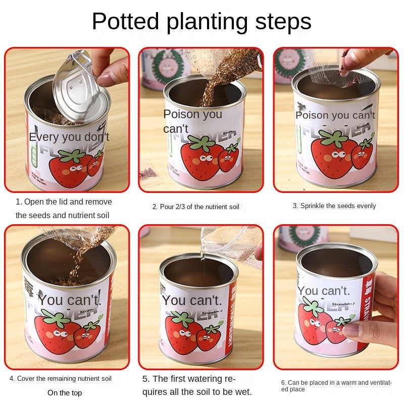 DIY Potted Plant Kit