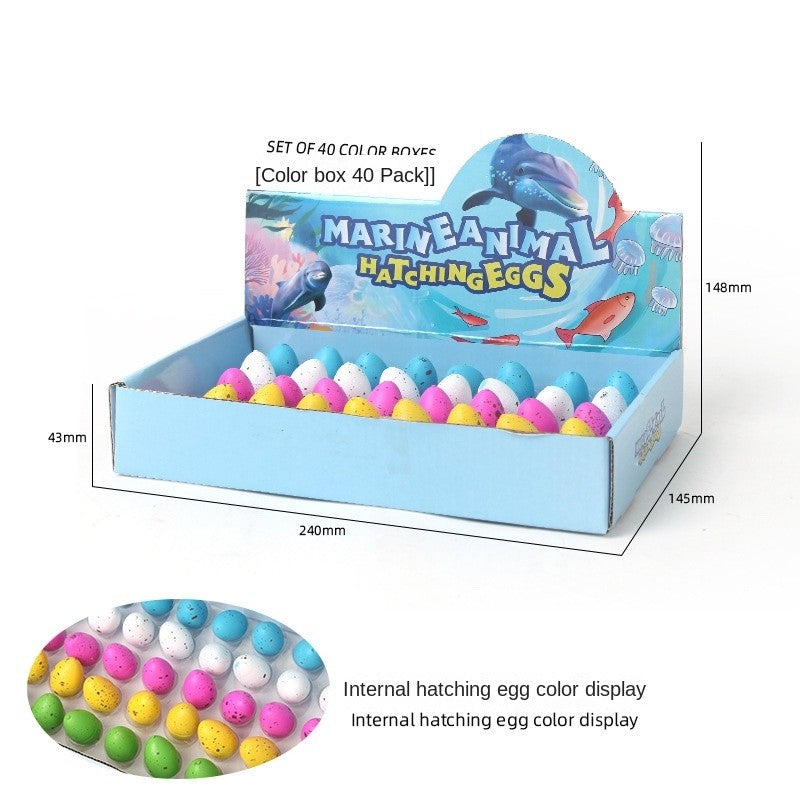 Marine Animal Hatching Eggs