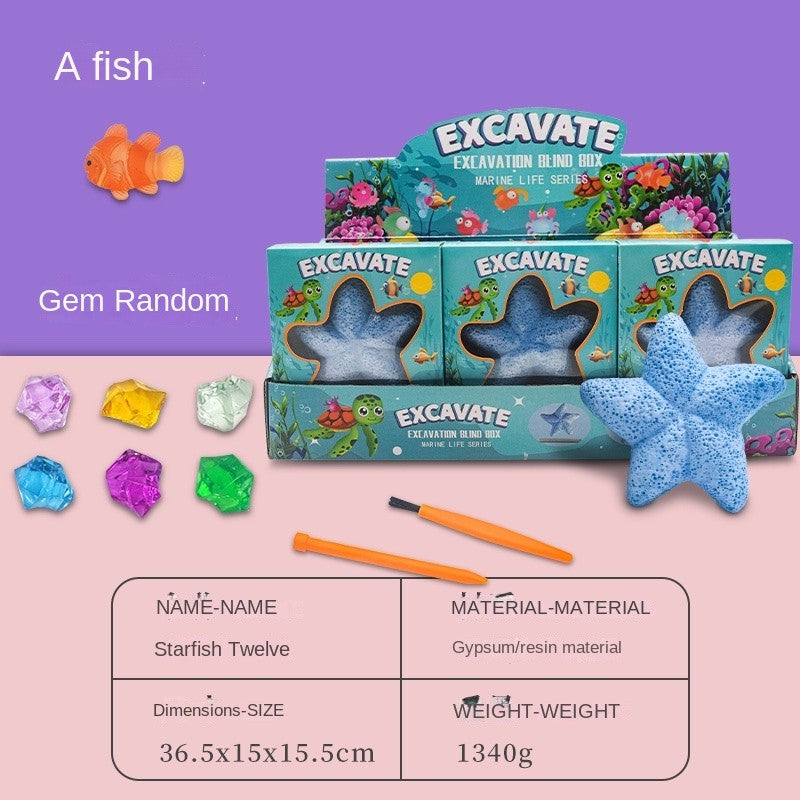 Dig & Find Surprise Starfish