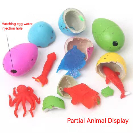 Marine Animal Hatching Eggs