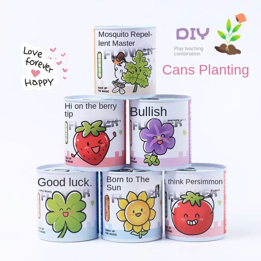 DIY Potted Plant Kit