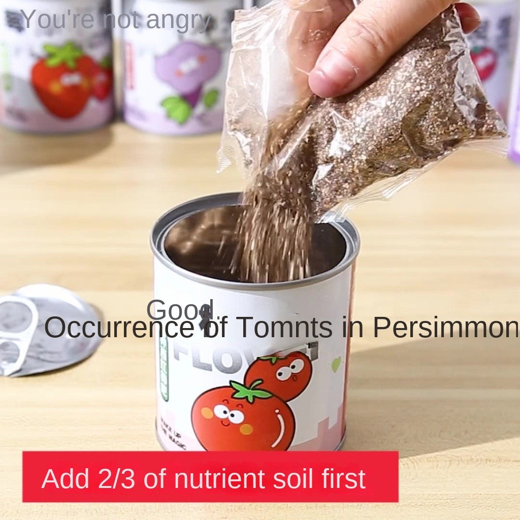 DIY Potted Plant Kit