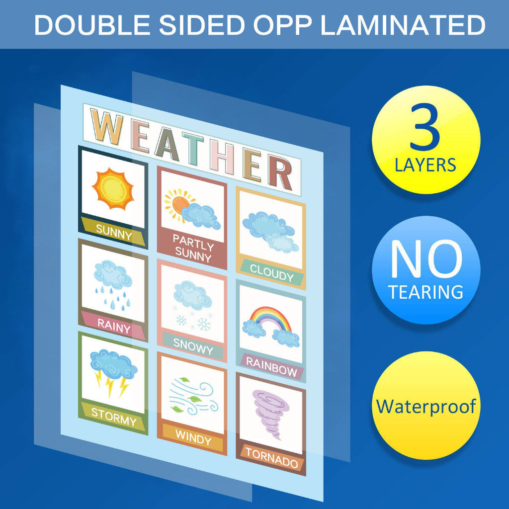 Educational Learning Posters Preschool Children Poster