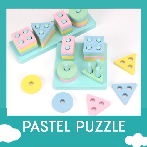 Montessori Sorting Colour Shapes Puzzle
