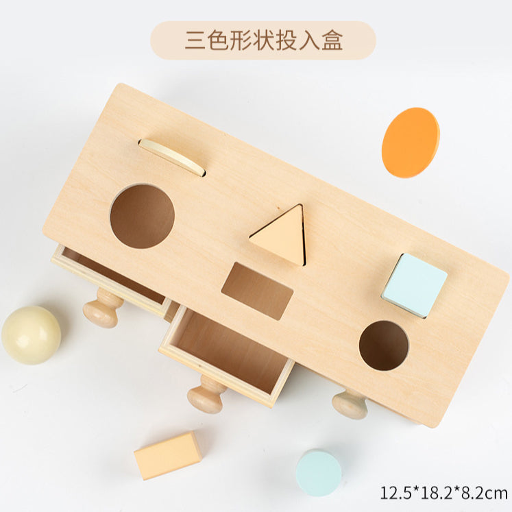 2in1 Pastel Montessori Shape Sorting