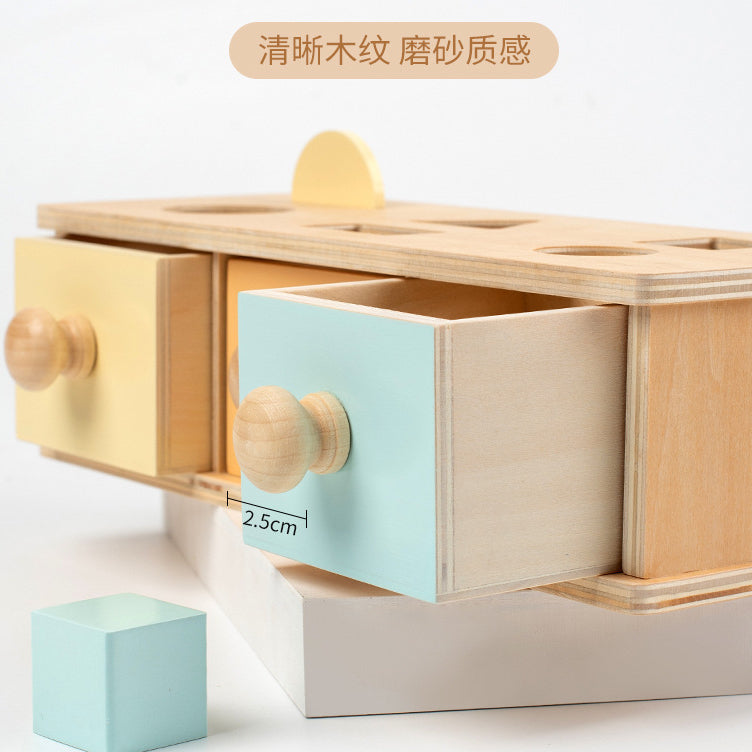 2in1 Pastel Montessori Shape Sorting