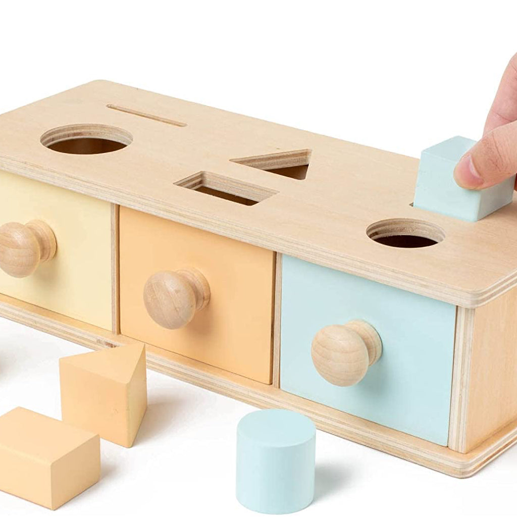 2in1 Pastel Montessori Shape Sorting
