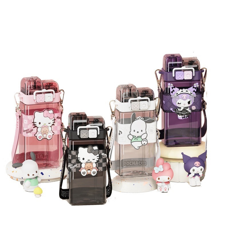 Sanrio Straw Double Water Bottle 520ml