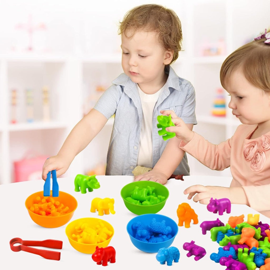 Classification Tub Animals