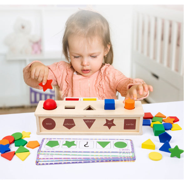 4in1 Colour Shape Sorting Box