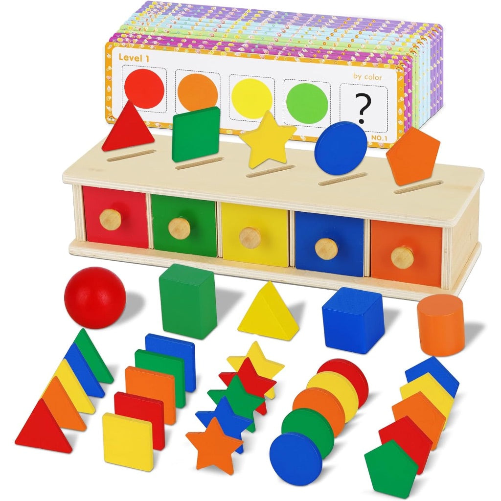4in1 Colour Shape Sorting Box