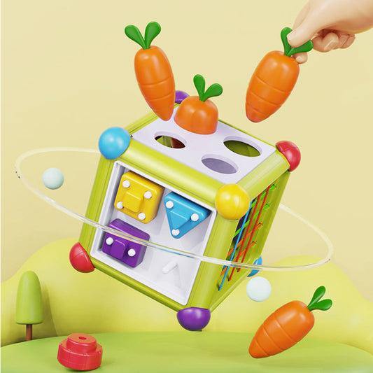 Carrot Shapes Sorting Busy Cube