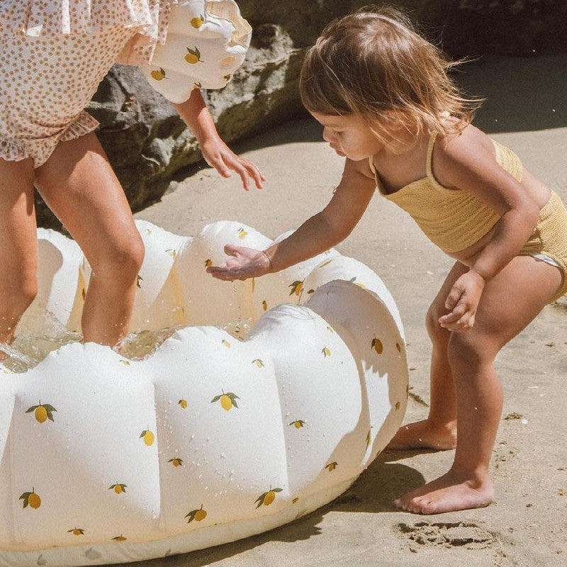 Rabbit Bunny Pool