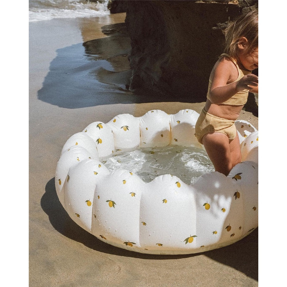 Rabbit Bunny Pool