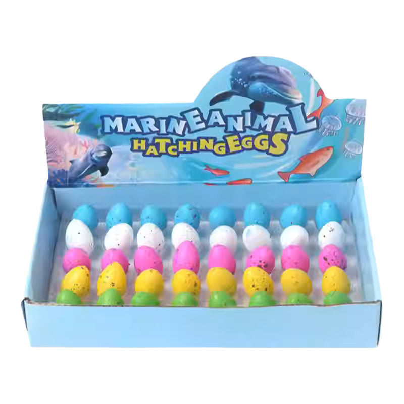 Marine Animal Hatching Eggs